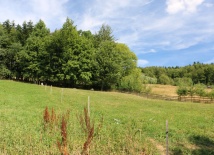 Wkoło domu